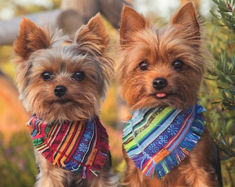 Tiny dog bandana, Collar with tribal pattern, Teacup dog bandana, blue dog bandana, Cute dog Bandana, puppy bandana, XXS Dog Bandana