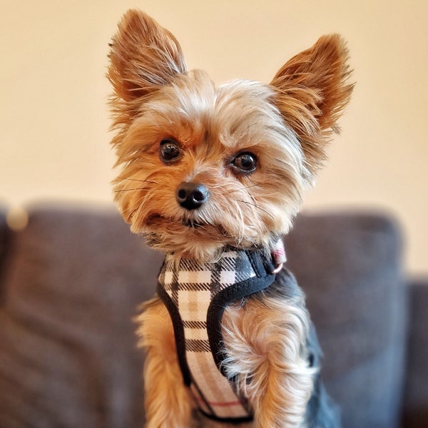 Plaid Cotton flannel teacup dog harness, Small XXS yorkie harness, Custom handmade adjustable tiny puppy harness, Cute XS beige dog harness