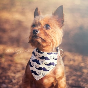 Mustache Dog Bandana: White Cotton Over-the-Collar Bandana