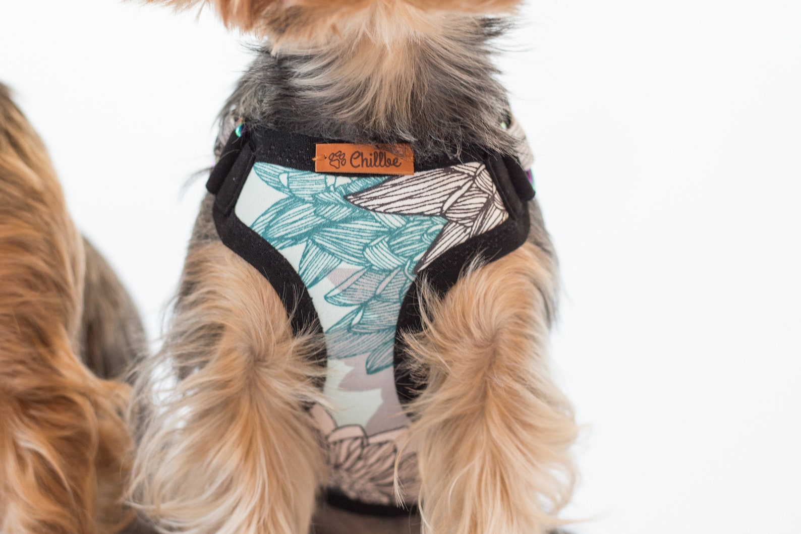 Adjustable Teacup Dog Harness and Leash, Made From Floral Cotton Blend