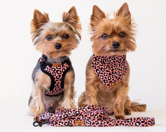 Designer Yorkie Clothes: 10 Luxury Picks For Your Pet -Yorkies Gram