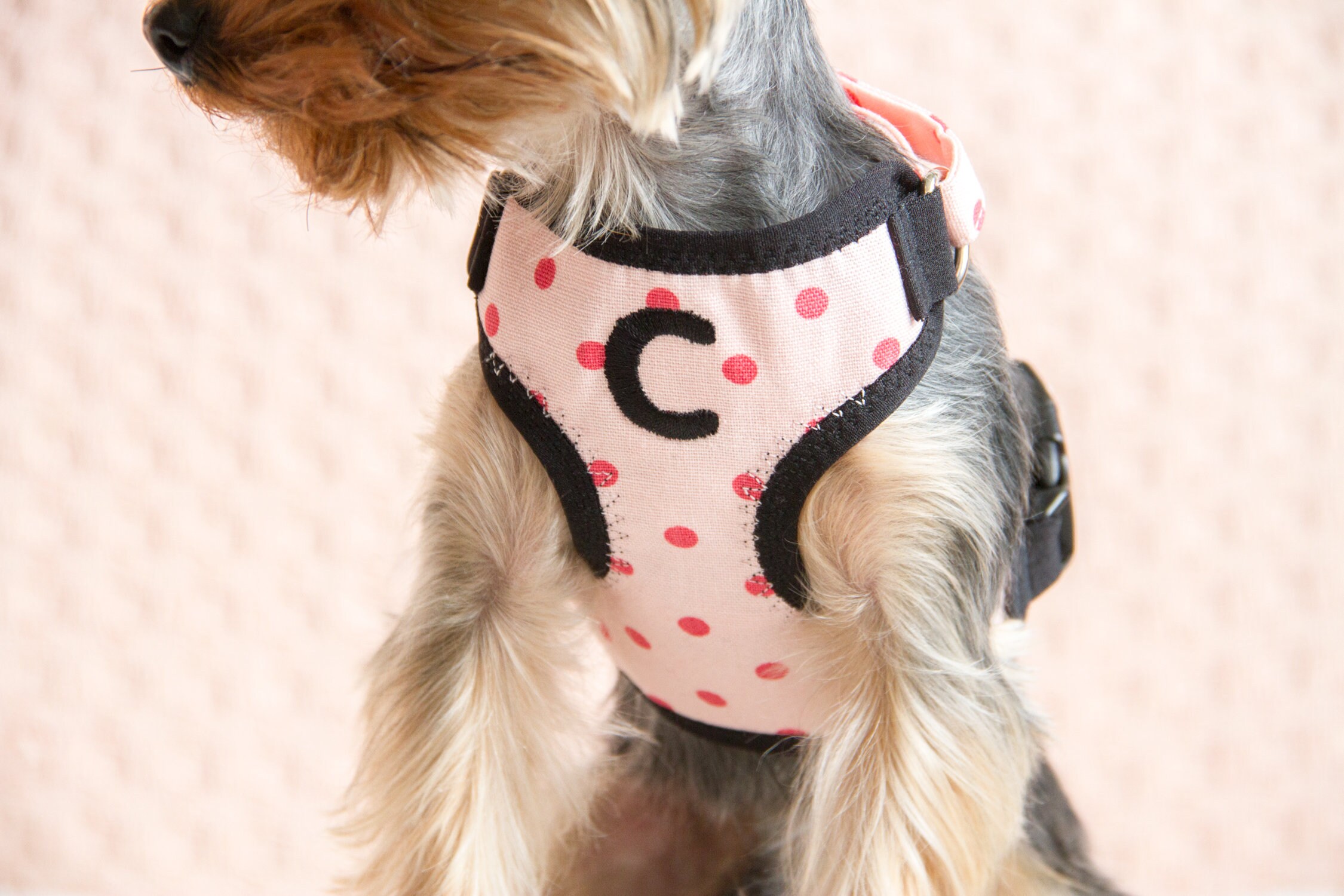 Small teacup dog harness made from pink polka dots cotton with Etsy