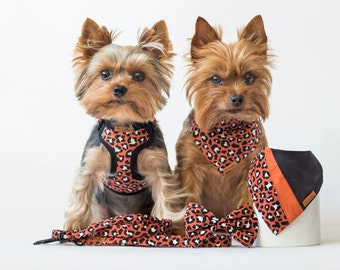 Adjustable teacup dog harness, leash, collar, bandana with leopard print, Small dog harness, Tiny dog harness, XXS dog harness