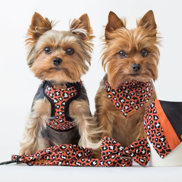 Adjustable teacup dog harness, leash, collar, bandana with leopard print, Small dog harness, Tiny dog harness, XXS dog harness