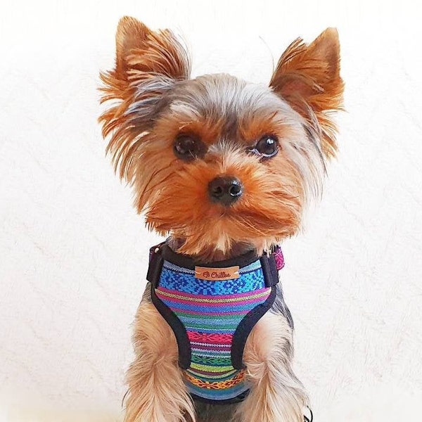 Adjustable teacup dog harness made from tribal color cotton blend fabrics, Small dog harness, Tiny dog harness, XXS dog harness, Yorkie