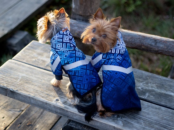 Blue Print Raincoat for Small Dogs Made From Softshell Material