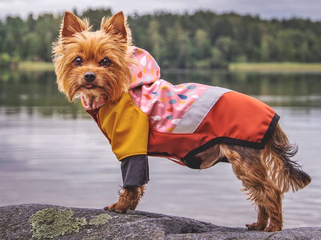 Dog Raincoat Made From Softshell Material, Teacup Dog Raincoat, Small