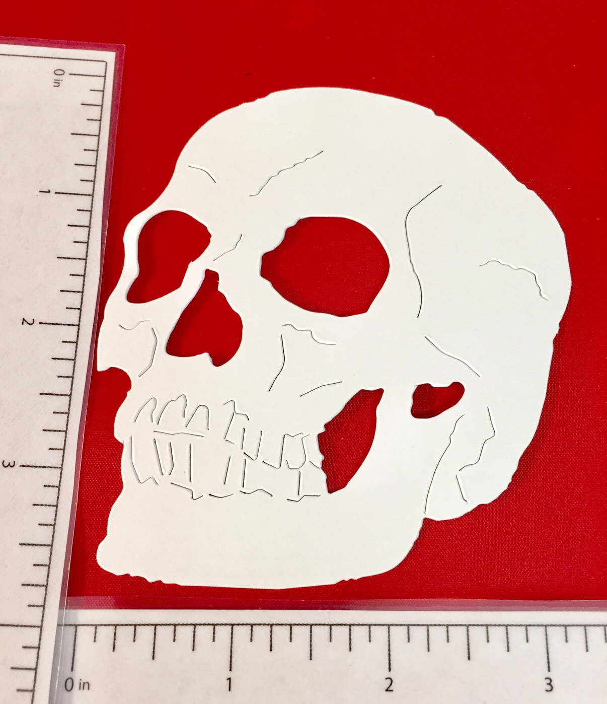 ももち。　Sizzix Tim Holtz Skull 660965 Tim Holtz Halloween Die Cuts * Skull * Sizzix 660965