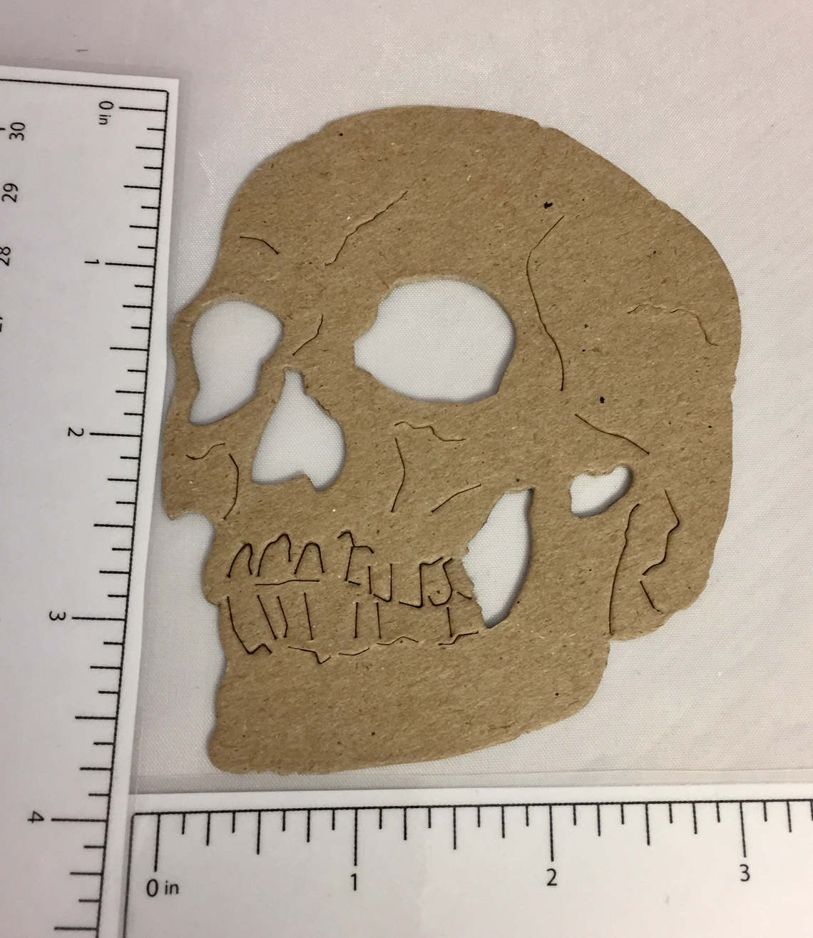 ももち。　Sizzix Tim Holtz Skull 660965 il_fullxfull.1203691303_ez9x.jpg