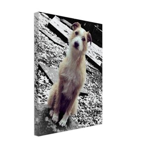 Adorable Lurcher Canvas Art - Dennis the Snow Dog Portrait - Perfect Dog Lover Gift