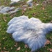 see more listings in the Dyed Sheepskins section