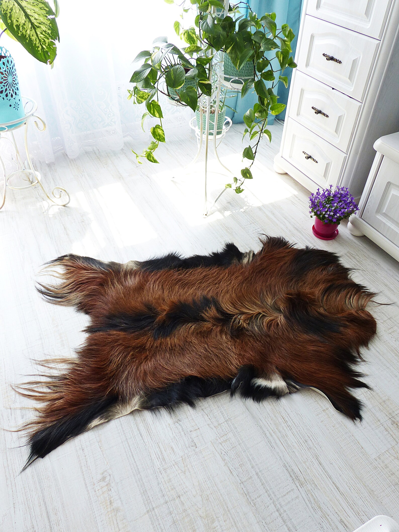 Natural Goat Skin Rug Humanely Sourced Animal Pelt Genuine Etsy
