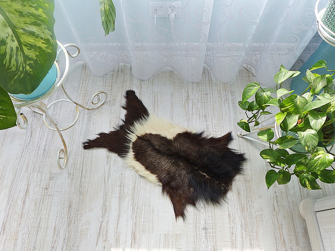 Hand Tanned Goat Skin Rug | Polish Mountain Decor (93x55cm) - Etsy