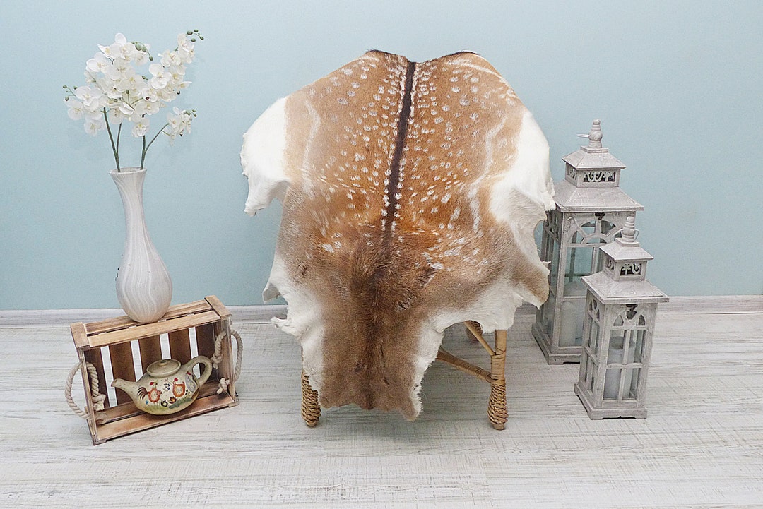 Real Fallow Deer Carpet, Mountain Chalet Room Additions Taxidermy