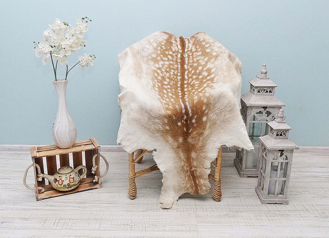 Authentic Fallow Deer Carpet, Mountain Chalet Room Additions Taxidermy