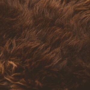 K&ouml;nnte beinhalten: Nahaufnahme eines strukturierten, dunkelbraunen Fells. Das Fell hat ein dichtes, wellenf&ouml;rmiges Muster mit verschiedenen Braunt&ouml;nen, wodurch ein weiches, einladendes Aussehen entsteht. Das Bild hebt die nat&uuml;rliche Textur und Farbvariationen hervor.