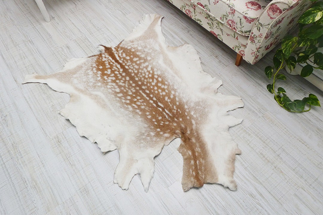 Real Fallow Deer Carpet Father's Day Gift Taxidermy Decoration,hunter