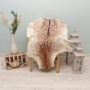 May include: A natural deer hide rug with a brown and white spotted pattern draped over a woven rattan chair. The scene includes a white ceramic vase with floral stems, a wooden crate containing a patterned teapot, and two white metal lanterns.