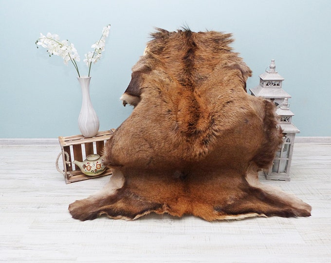 Authentic Deer Hide, Taxidermy Wall Decor, Hunting Room Design