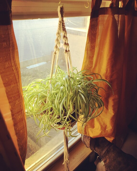 100% organic cotton macrame plant hanger