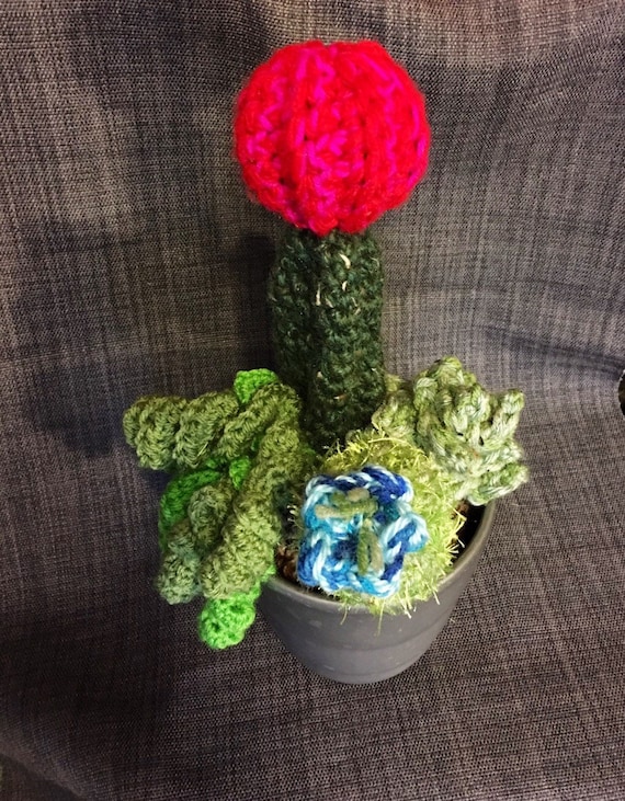 Crocheted cactus 13" tall! In ceramic pot