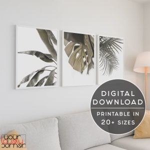 Tropical Leaf Wall Art Set: Palm, Banana, Monstera (Digital Download)