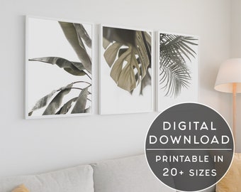Tropisches Blatt Wand Kunst Set: Palme, Banane, Monstera (Digitaler Download)