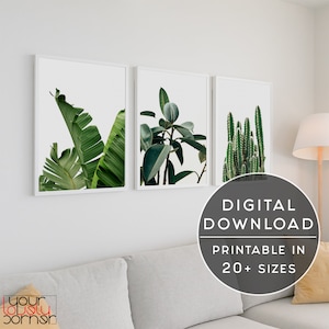 Botanical Wall Art Set Of 3 Prints, Botanical Print Set, Tropical Leaves Printable Wall Art, Green Leaf Gallery Wall Art, Palm Leaves Print