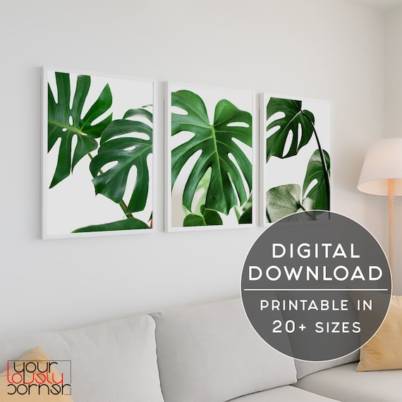 Botanical Wall Art Set Of 3 Prints Monstera Leaves Tropical - Botanical Wall Art Sets Botanical Wall Art Set Of 3 Prints Monstera Leaves Tropical - Botanical Wall Art Sets