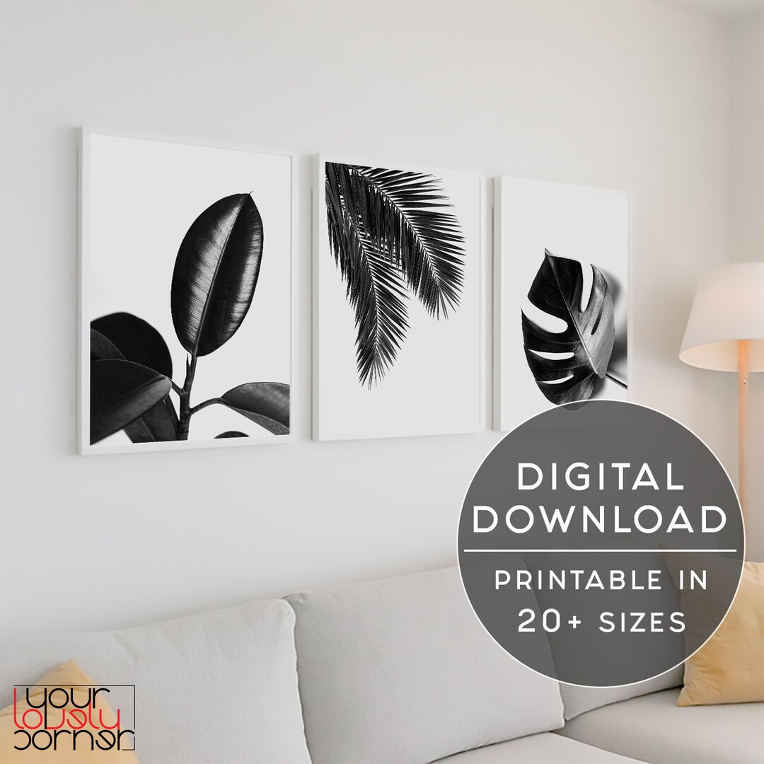Black and White Botanical Print Set of 3 (digital Download) - Etsy