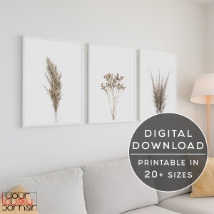 Boho Style Decor, Set Of 3 Botanical Prints, Minimalist Printable Wall Art, Botany Print, Herbal Wall Art, Gallery 3 Piece Wall Art