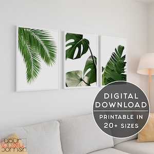 Set Of 3 Prints Palm Leaves Botanical Print, Tropical Leaves Printable Wall Art, Green Leaves Digital Poster Download, Scandinavian Art