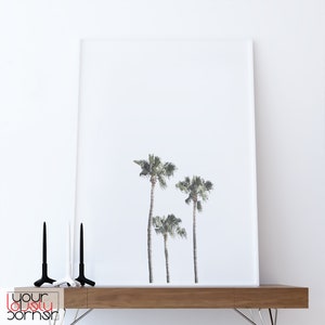 May include: A framed print of three palm trees against a white background. The print is hanging on a white wall above a wooden shelf.