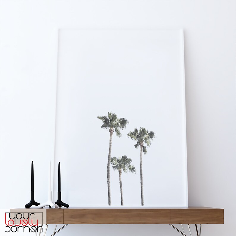 May include: A framed print of three palm trees against a white background. The print is hanging on a white wall above a wooden shelf.