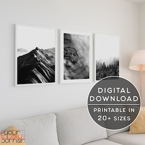 Nature Wall Art Set Of 3 Prints, Black and White 3 Piece Print Set, 3 Piece Gallery Wall Set, Landscape Print Set of 3, Bedroom Wall Art