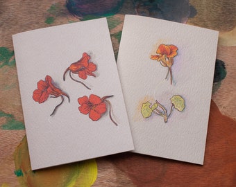 Nasturtium Greeting cards - Garden Studies - pack of 2 - blank inside