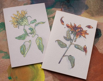 Sunflower Greeting cards - Garden Studies - pack of 2 - blank inside