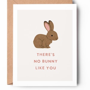 Il n'y a pas de lapin comme toi / Adorable carte de jeu de mots avec un lapin / Adorable carte pour la Saint-Valentin / Carte d'anniversaire / SKU : LNVD41
