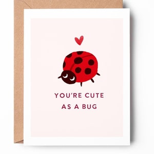 tu es mignonne comme une punaise / jolie carte de jeu de mots coccinelle / jolie carte pour la Saint-Valentin / carte d'anniversaire / SKU : LNVD32