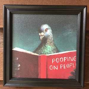 Cute framed picture of pigeon reading a book, "Pooping on People",pet gift, bird gift,funny gift, bird lover, pigeon, black frame, custom