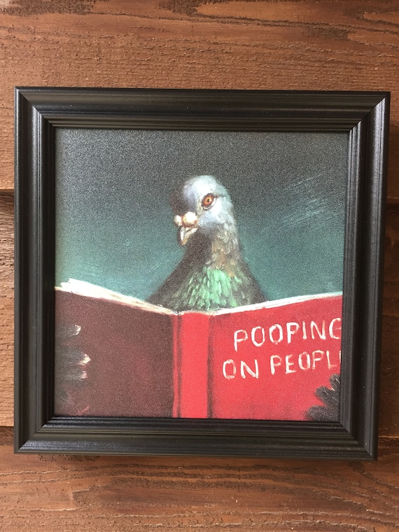 Cute framed picture of pigeon reading a book, "Pooping on People",pet gift, bird gift,funny gift, bird lover, pigeon, black frame, custom