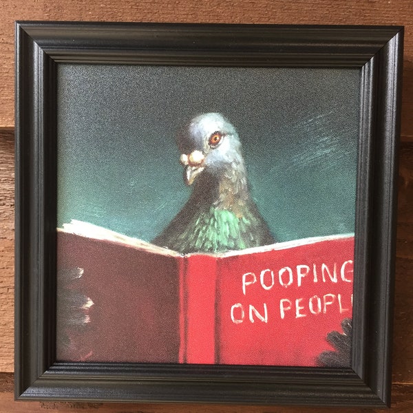 Cute framed picture of pigeon reading a book, "Pooping on People",pet gift, bird gift,funny gift, bird lover, pigeon, black frame, custom