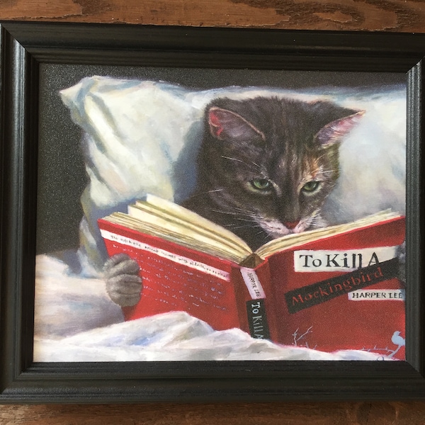 Cute Cat reading a book, kitten