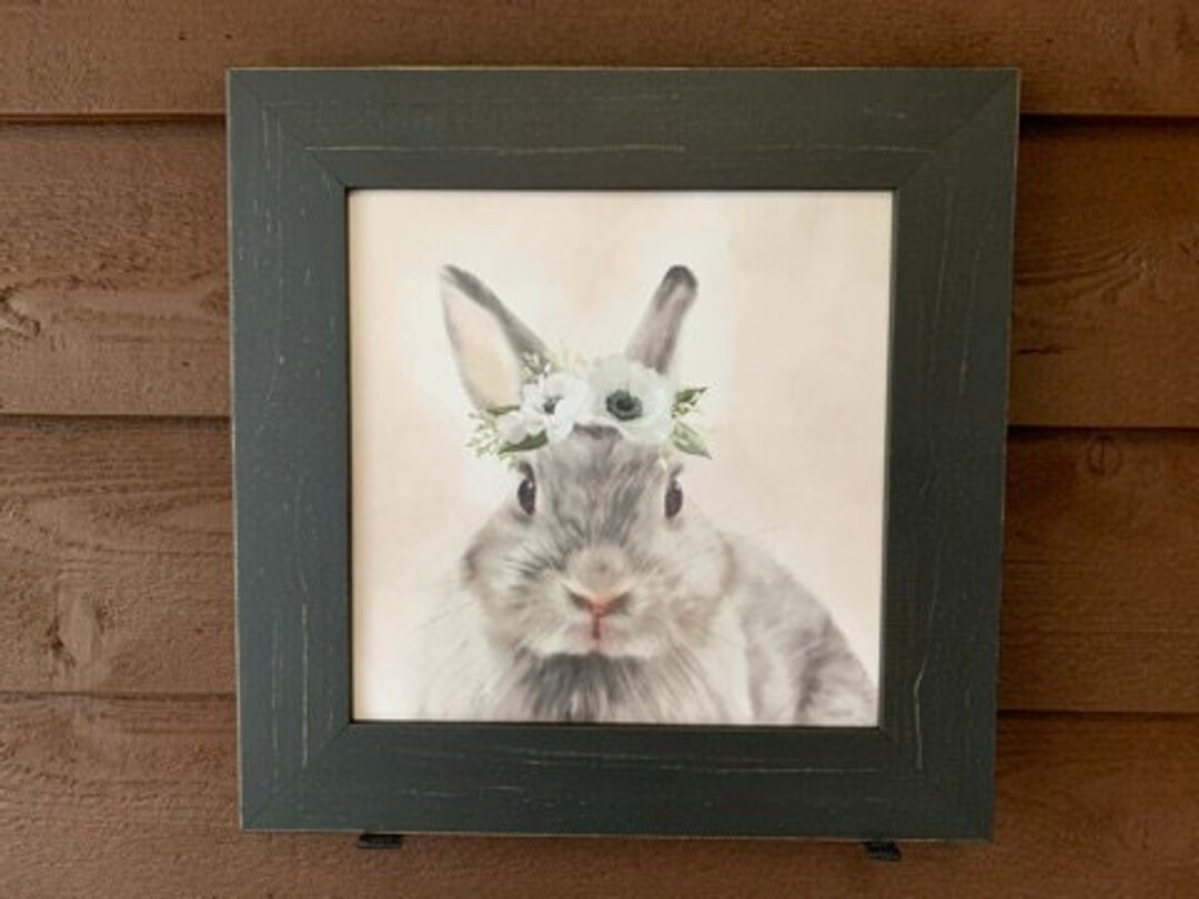 Cute Rabbit Frame Cute Precious Framed Picture of a Rabbit, Farmhouse Decor, Country Wall ...
