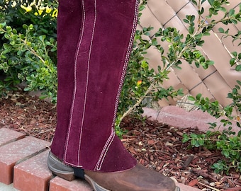 Saddle Horse Burgundy Short Chaps 