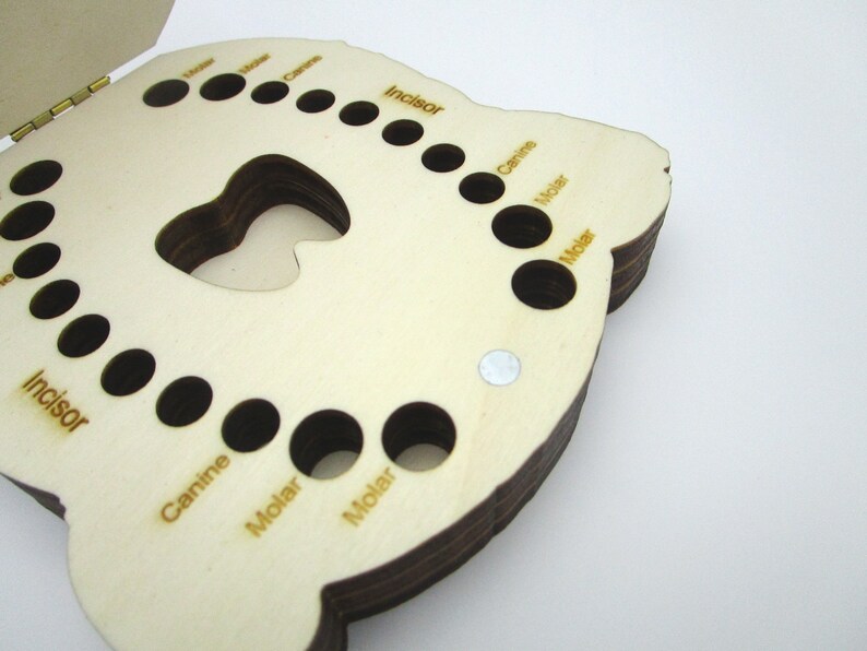 Baby Tooth Holder Wooden Box for Teeth Laser Cut Artistic - Etsy