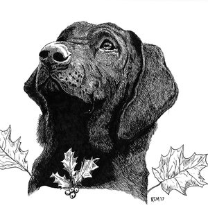 Custom Pet Portraits