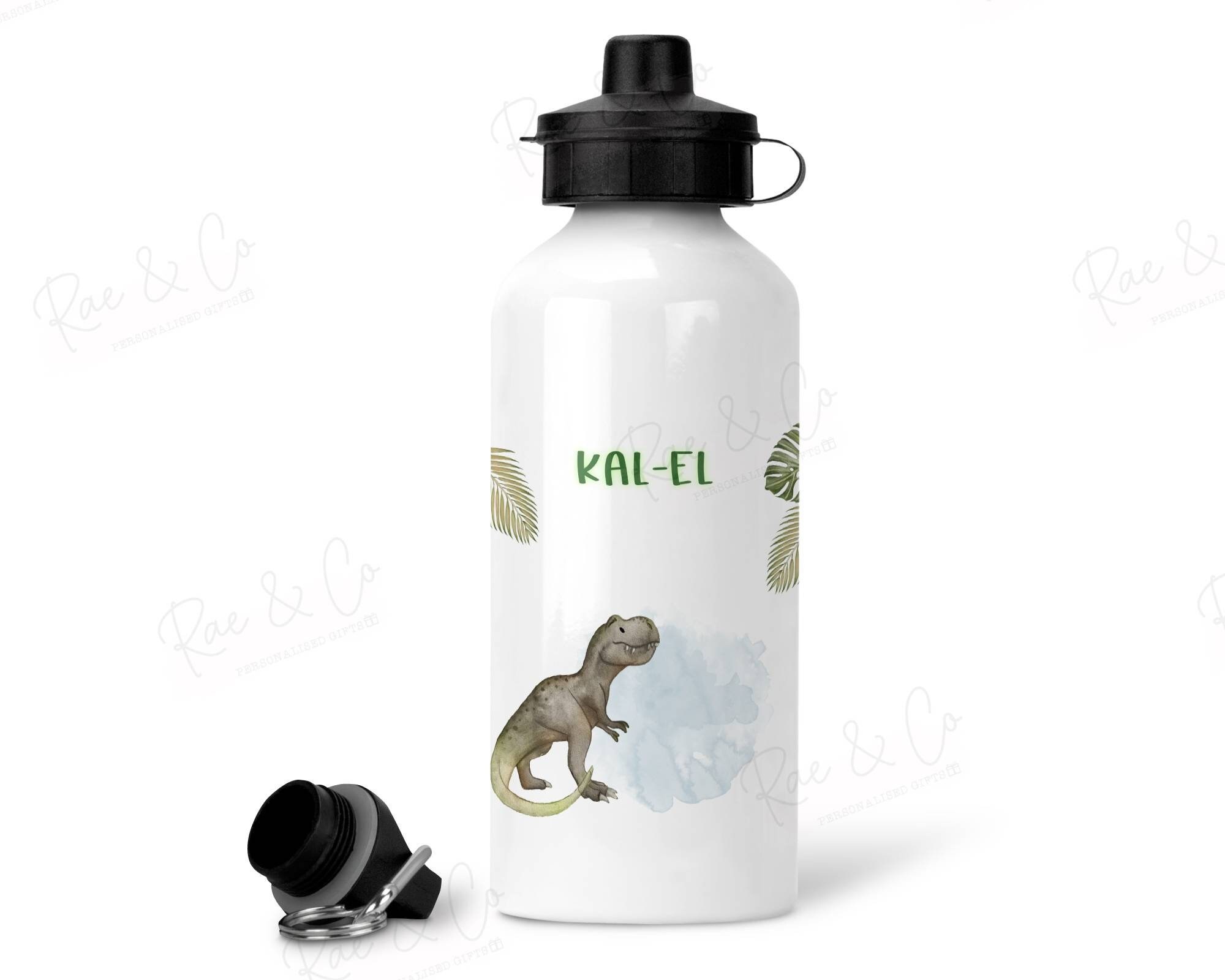 Bouteille d'eau Personnalisée Pour Dinosaures, T Rex, Retour à L'école, Bouteille de 500 Ml