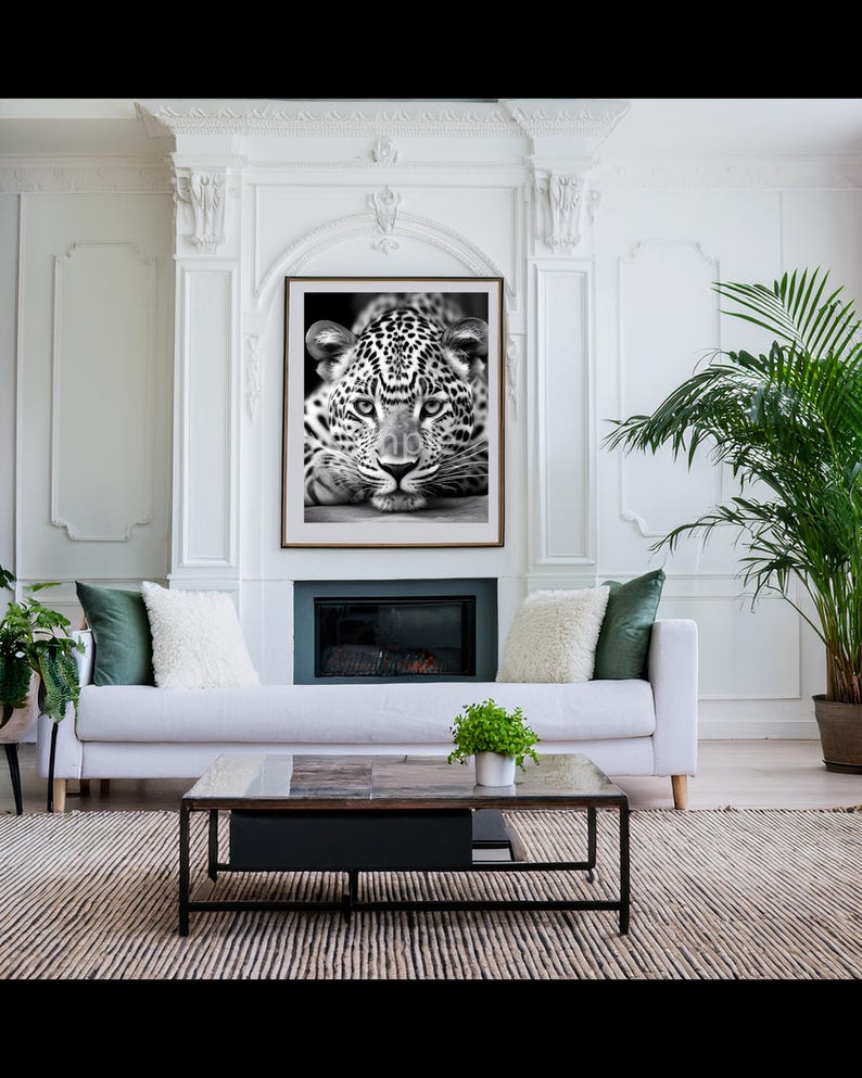 Leopard Luxury Print Image, Panther, Vintage, Glamour, Photography ...