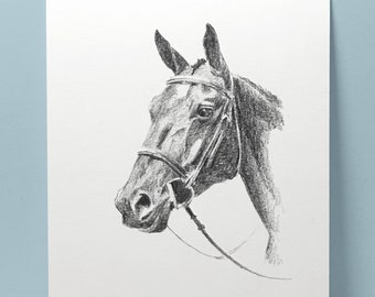 Croquis personnalisé de portrait de cheval/5 x 7 po. Croquis au crayon/Art graphite/cadeau cheval